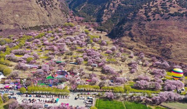 世外桃源！一組圖告訴你，西藏林芝桃花能有多美