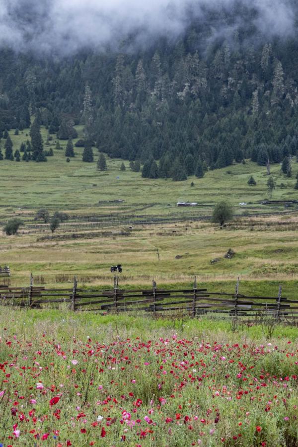 跟我，踏上最美“景觀大道”