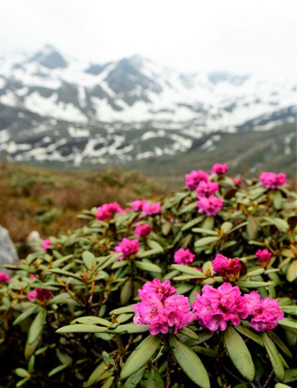 跟我，踏上最美“景觀大道”