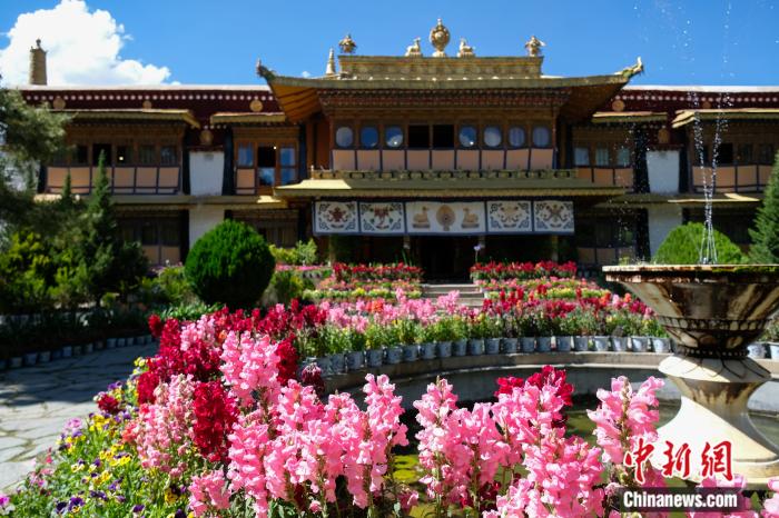 圖為夏日羅布林卡(資料圖)。趙朗攝