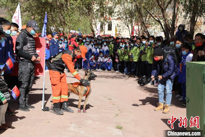 圖為搜救犬服從和箱體搜救演練?！≮w琳 攝