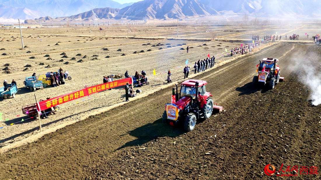 山南市扎囊縣扎其鄉(xiāng)孟卡榮村迎來春耕第一犁。人民網(wǎng) 次仁羅布攝