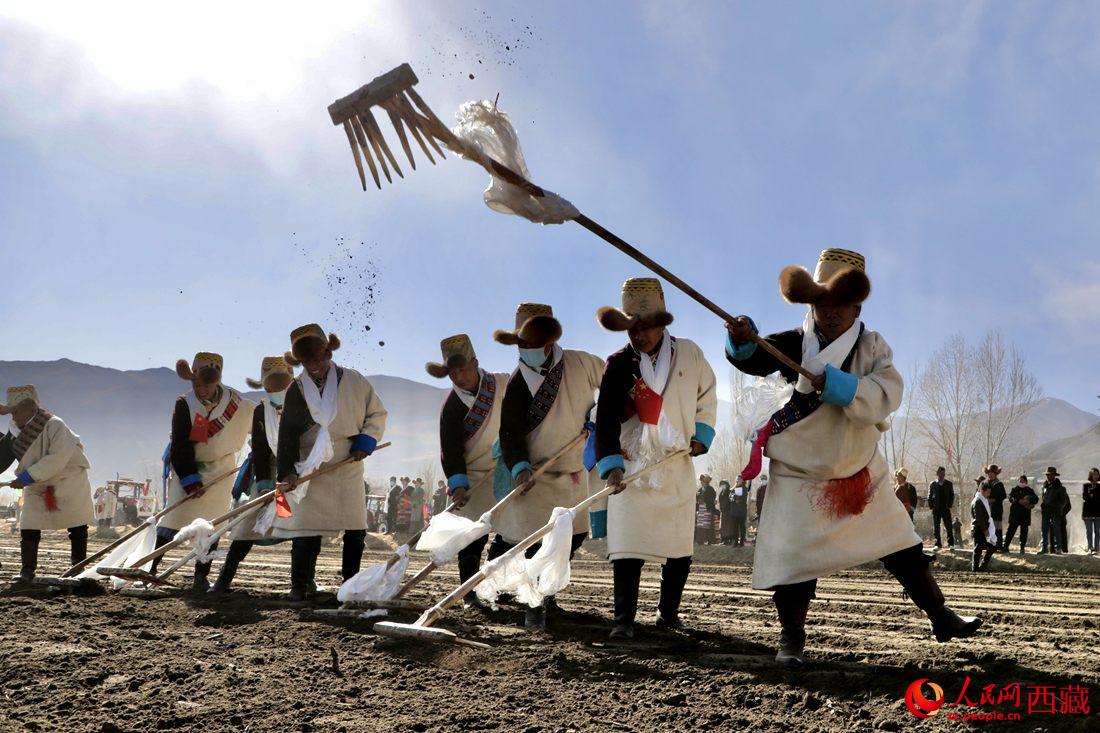 當(dāng)?shù)卮迕裆碇?jié)日盛裝，舉行春耕儀式。人民網(wǎng) 次仁羅布攝