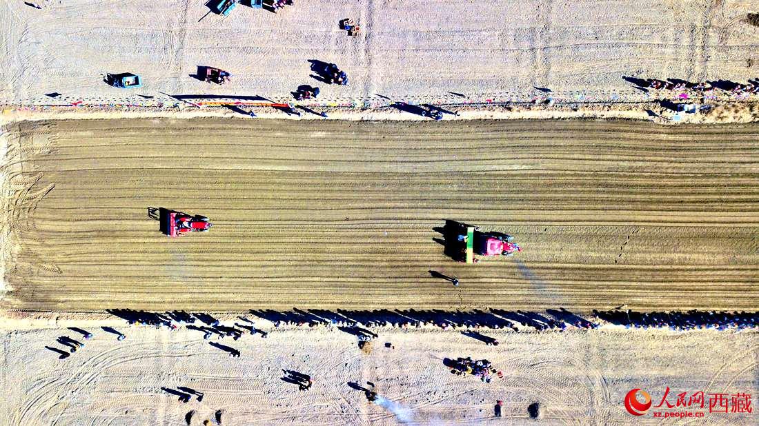 山南市扎囊縣扎其鄉(xiāng)孟卡榮村迎來春耕第一犁。人民網(wǎng) 次仁羅布攝