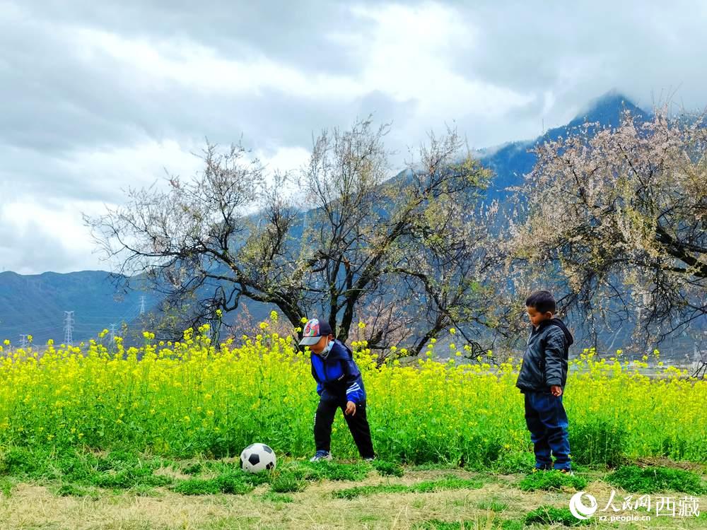 孩童在桃花下嬉戲。人民網 李海霞攝