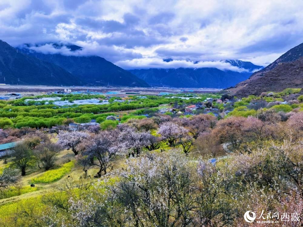 桃花從中的“童話小鎮(zhèn)”。人民網 李海霞攝