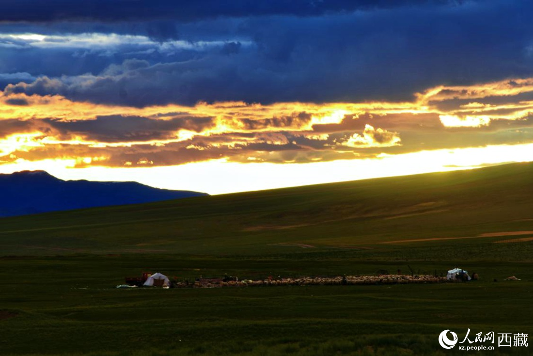 黃昏下的帳篷，牧民過著幸福生活。 人民網 李海霞攝
