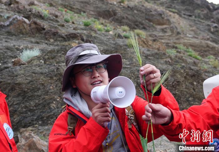 青藏科考：青稞如何走上青藏高原？
