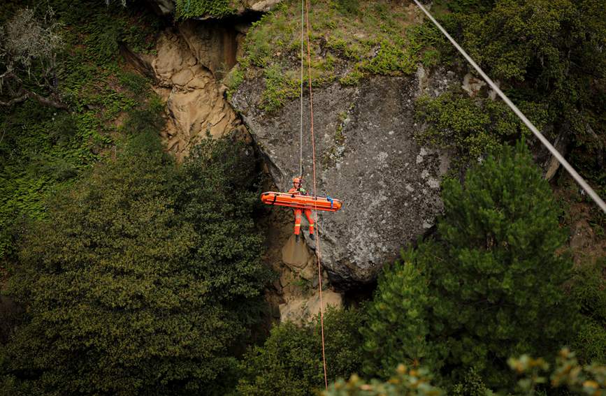 叢林中的橙色身影。西繞拉翁攝