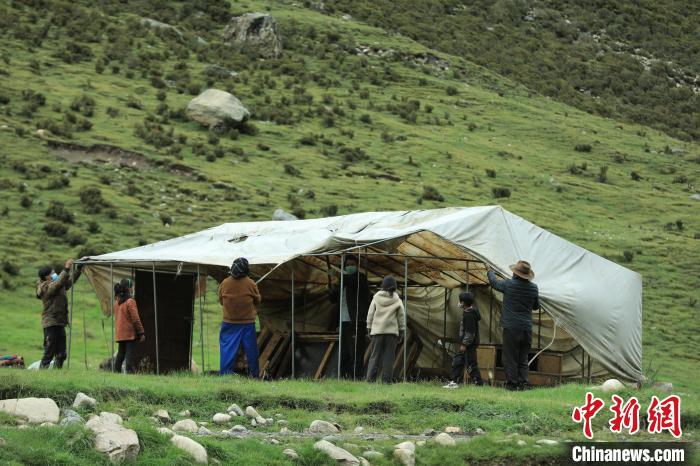 圖為牧民們在秋季牧場搭建帳篷?！÷蹇?攝