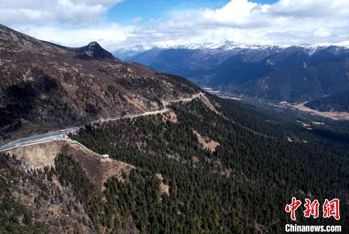 2月17日，西藏林芝魯朗林海。(無(wú)人機(jī)照片) 李林 攝