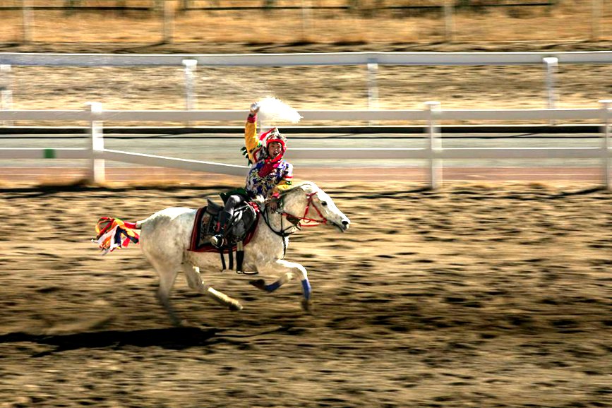 藏歷新年，精彩的馬術表演。張靜攝