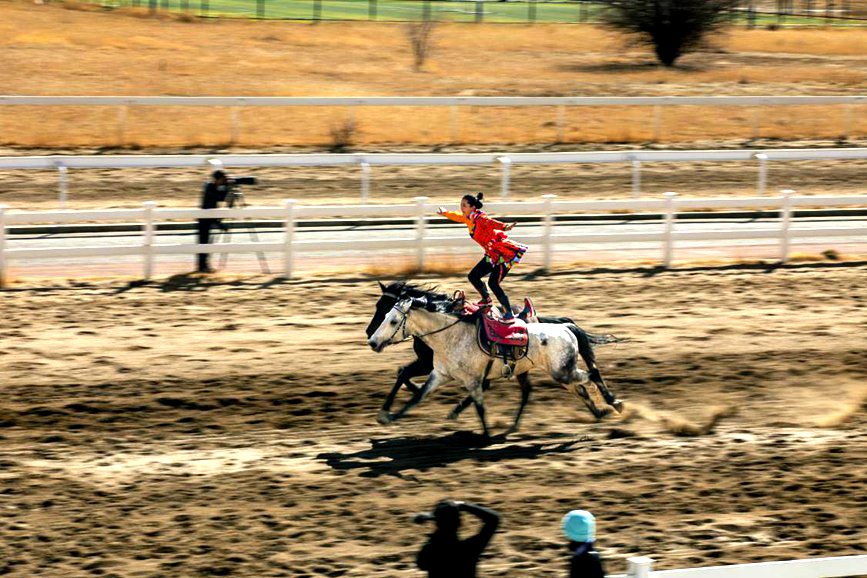 藏歷新年，精彩的馬術表演。張靜攝
