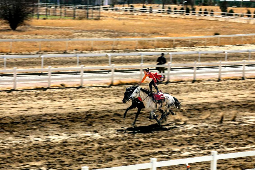 藏歷新年，精彩的馬術表演。張靜攝