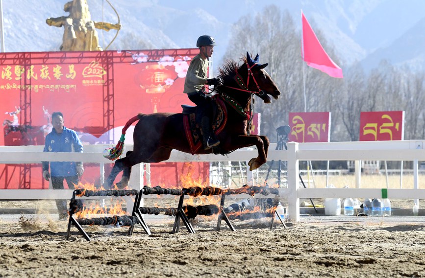 藏歷新年，精彩的馬術表演。潘多攝