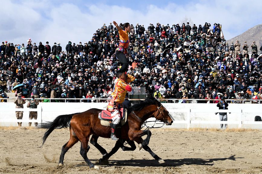 藏歷新年，精彩的馬術表演。潘多攝