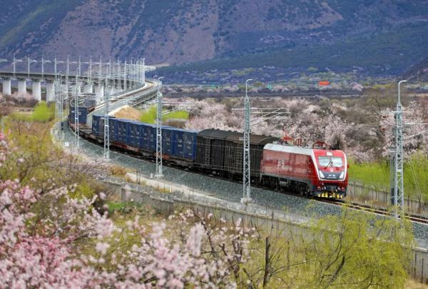 人間桃花源！林芝桃花有多絕？