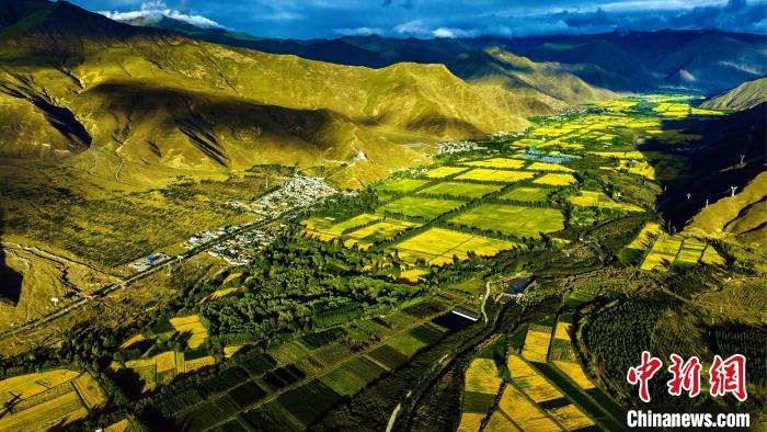 圖為山南雍布拉康附近農(nóng)田?！埼?攝