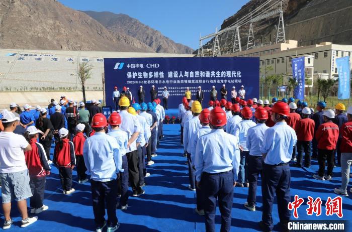 圖為蘇洼龍水電站魚類放流現(xiàn)場。　蘇洼龍水電站供圖