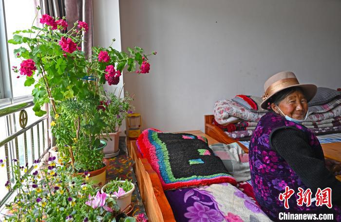 圖為曲松縣特困人員集中供養(yǎng)中心老人德吉卓嘎與她的花?！≮w朗 攝