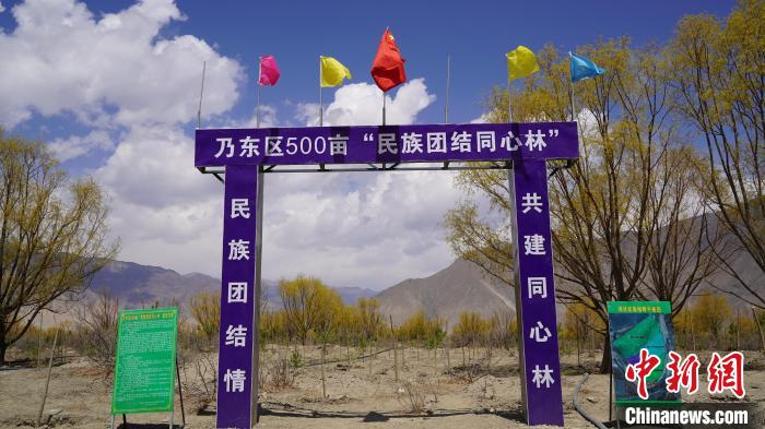 圖為“民族團(tuán)結(jié)同心林”項目?！∧藮|融媒供圖