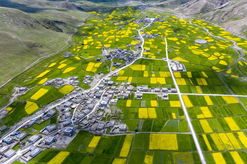 航拍道布龍村，依山傍水，阡陌縱橫。