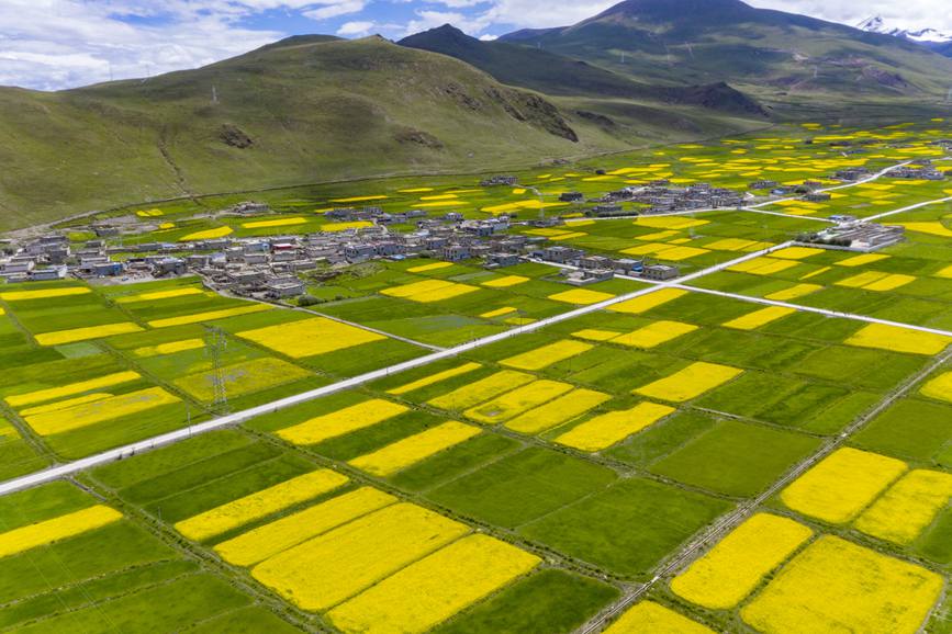 航拍道布龍村，依山傍水，阡陌縱橫。