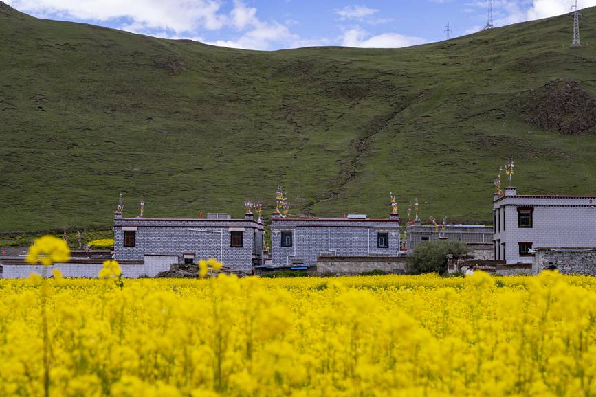 環(huán)境優(yōu)美的道布龍村一角。