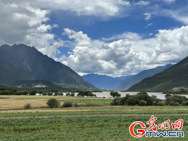 我們的家園｜林芝米林縣：河長護(hù)藥洲，碧水映花谷