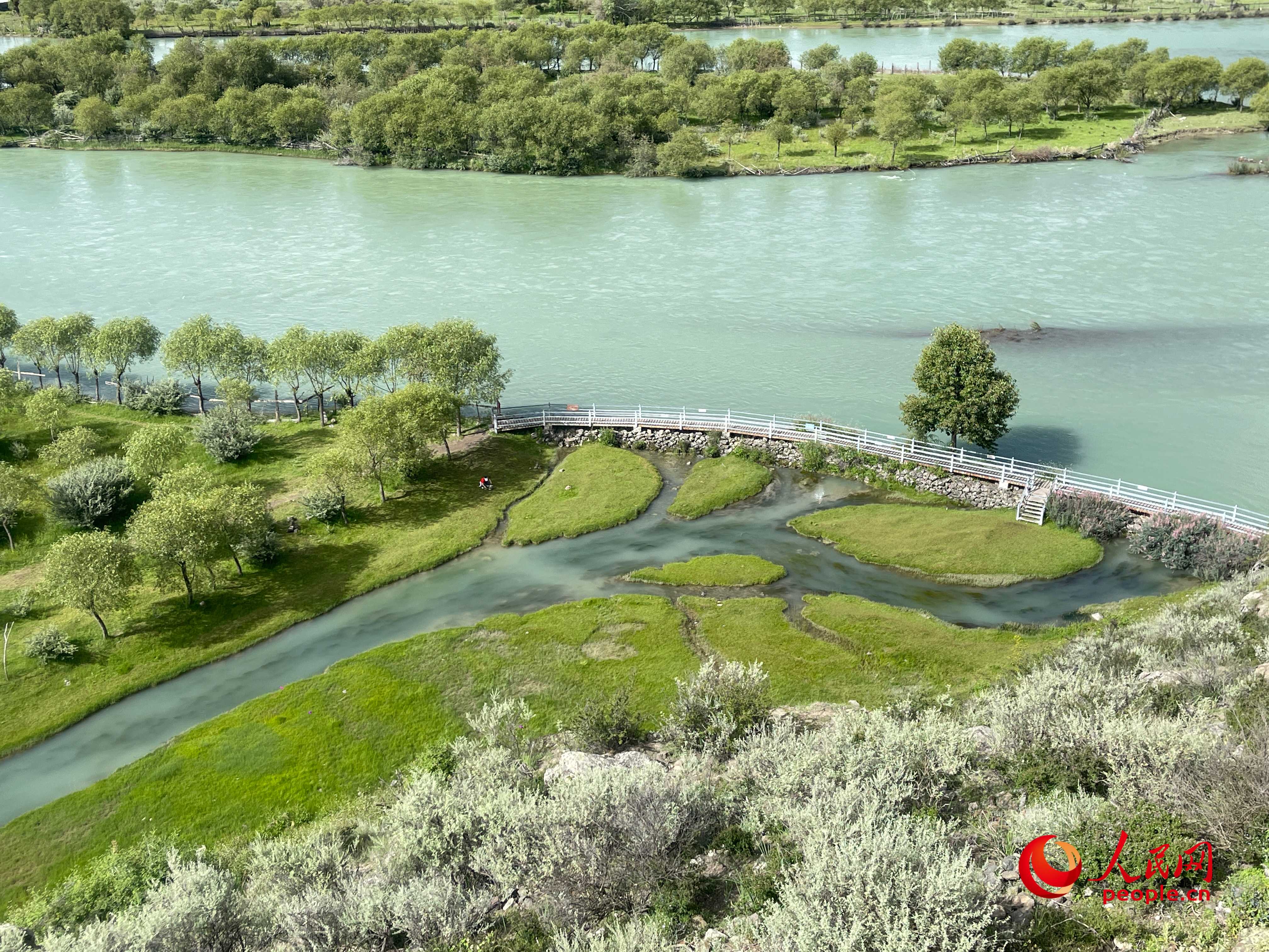 夏日的雅尼國家濕地公園生機盎然，如詩如畫。人民網(wǎng) 周靜圓攝