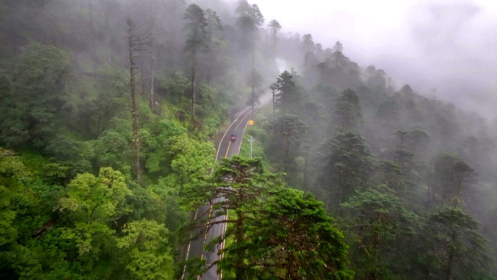穿行于綠色間。張澤坤攝