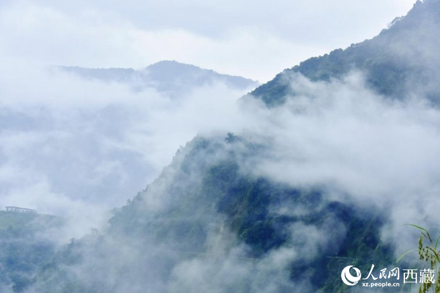 秋日里的墨脫云海。人民網(wǎng) 李海霞攝
