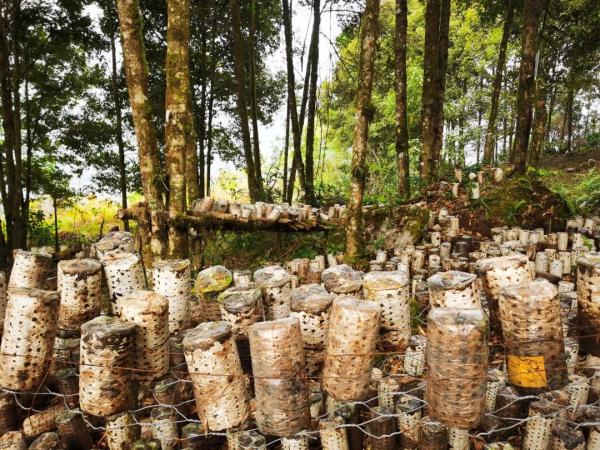 幾代建設者，歷經(jīng)半個多世紀完成！這是一條怎樣的公路？