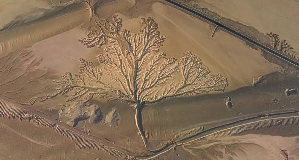 壯觀的“大地之樹”。邊巴多吉攝