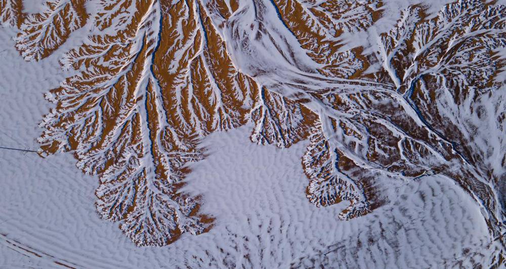 栩栩如生的枝干。邊巴多吉攝