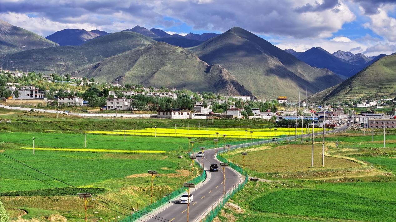 油菜花開(kāi)“金”滿地。墨竹工卡縣委宣傳部 洛克攝