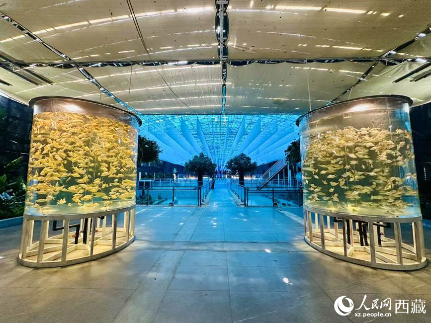 西普海洋公園。人民網(wǎng)記者 次仁羅布攝