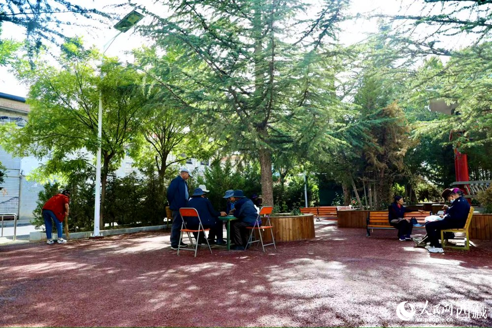 老人們在綠樹成蔭的“社區(qū)會客廳”中對弈休憩。人民網(wǎng)記者 次仁羅布攝