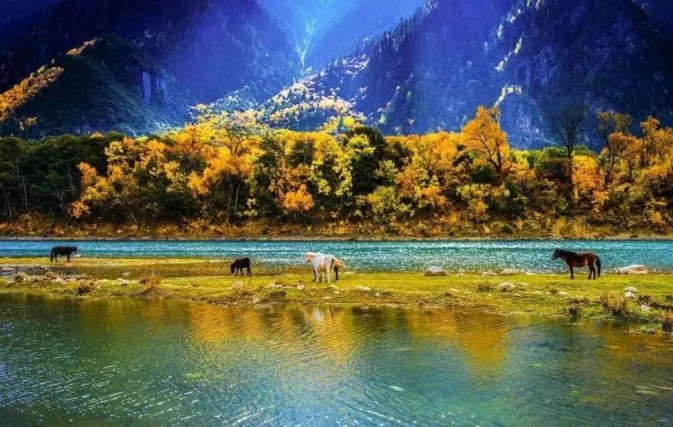 懂西藏的人，一定不會(huì)錯(cuò)過林芝的秋天