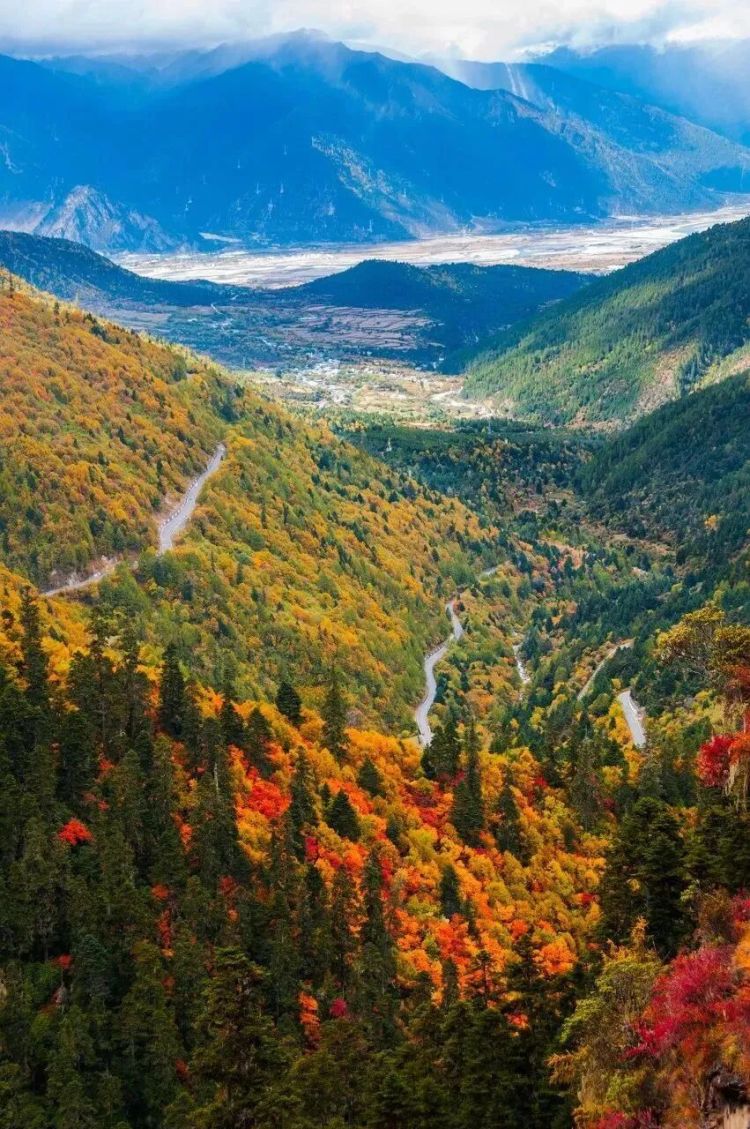 懂西藏的人，一定不會(huì)錯(cuò)過林芝的秋天