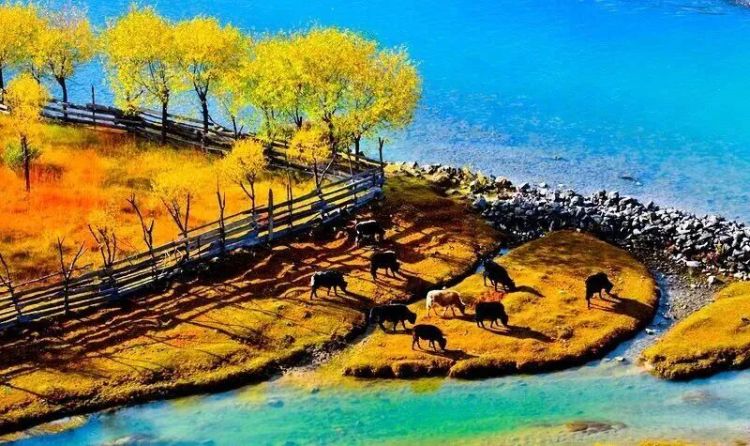 懂西藏的人，一定不會(huì)錯(cuò)過林芝的秋天