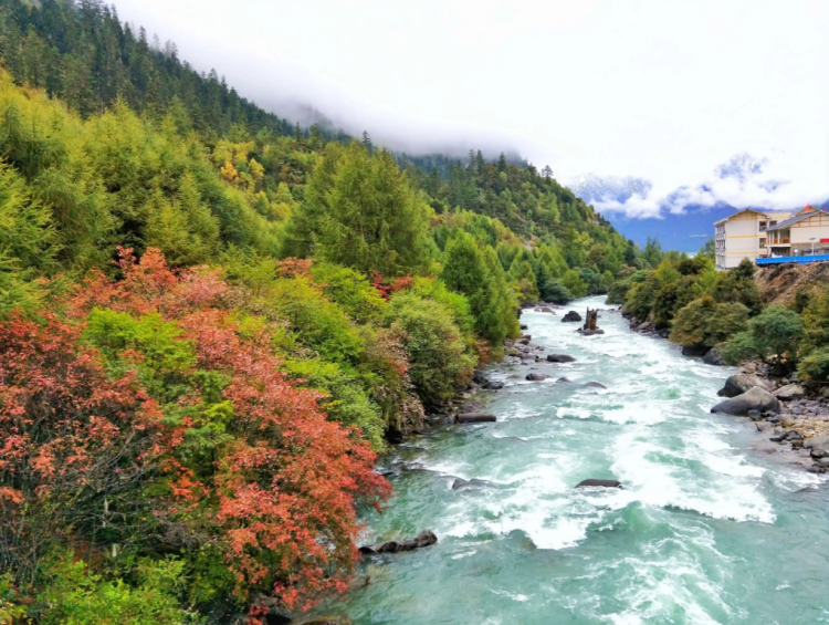 懂西藏的人，一定不會(huì)錯(cuò)過林芝的秋天