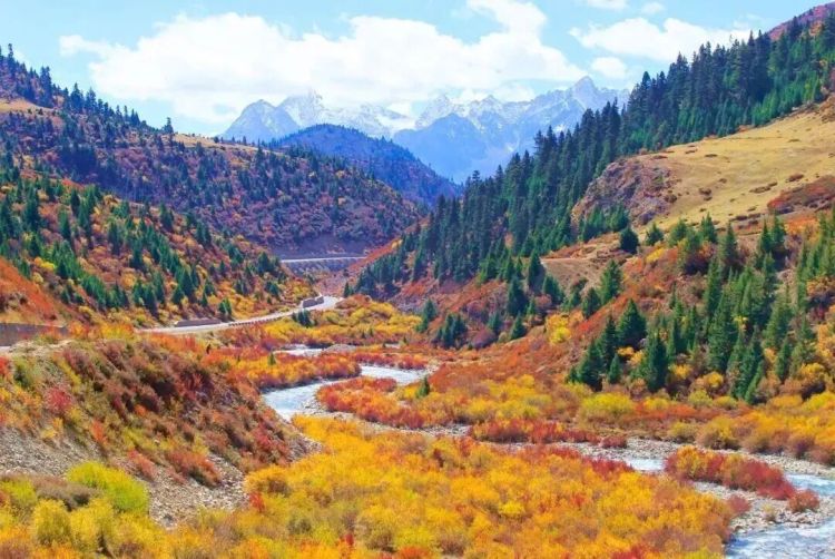 懂西藏的人，一定不會(huì)錯(cuò)過林芝的秋天