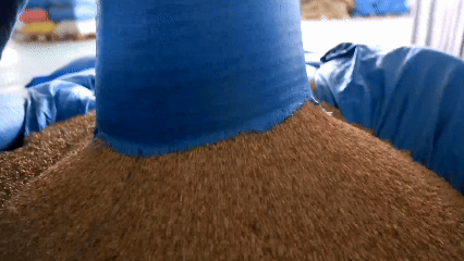 青稞“蛻變”，牦?！俺鋈Α?！看西藏農(nóng)牧民的“十四五”豐收答卷