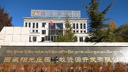 青稞“蛻變”，牦牛“出圈”！看西藏農(nóng)牧民的“十四五”豐收答卷