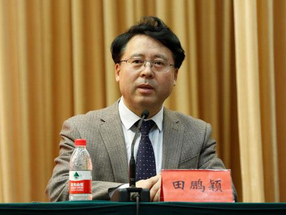 田鵬穎：投入其中、樂在其中、安身其中