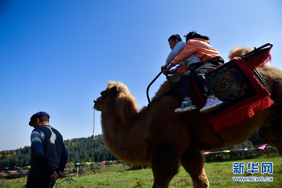 （全面建成小康社會“百城千縣萬村調研行”·圖文互動）（7）青?？柎澹骸肮夤鞔濉钡娜A麗轉身