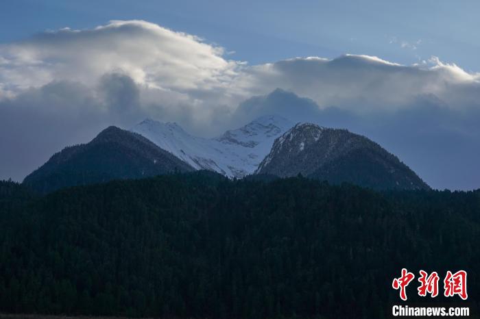 西藏波密縣的原始森林與雪山風(fēng)光。　江飛波 攝