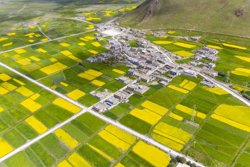 航拍道布龍村，依山傍水，阡陌縱橫。