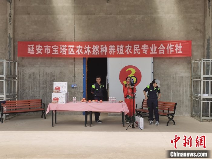 來(lái)源：柳林鎮(zhèn)果技園供圖。